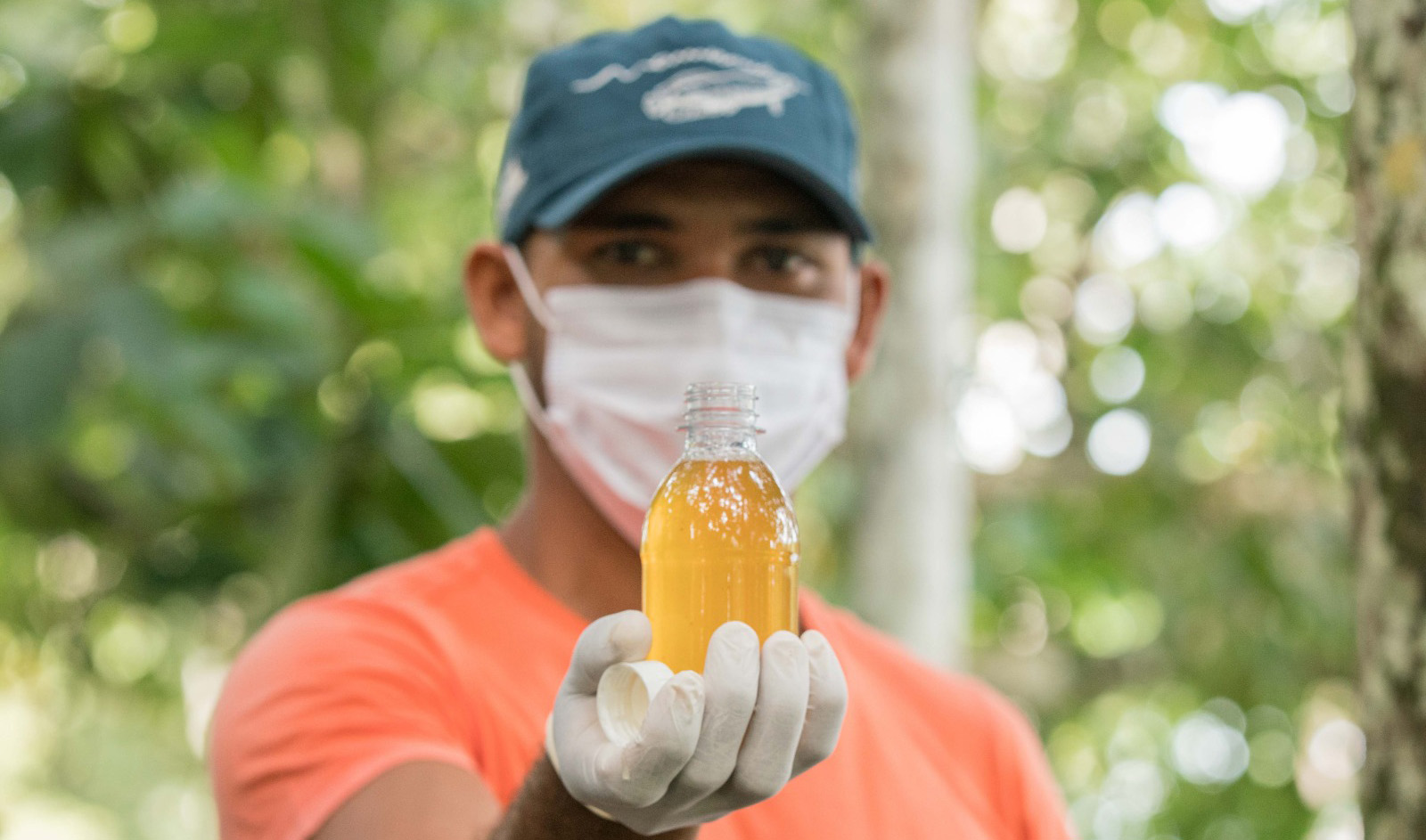 Instituto de Desenvolvimento Sustentável Mamirauá Instituto de Desenvolvimento Sustentável Mamirauá