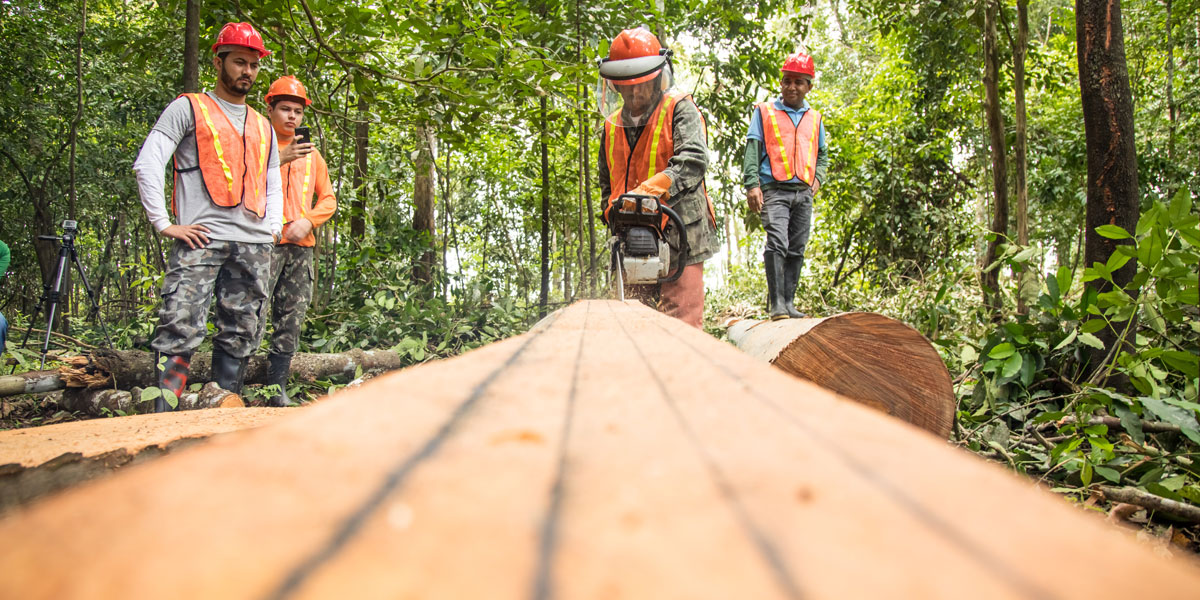 Encontro de Manejadores Florestais debate aproveitamento da madeira para comercialização