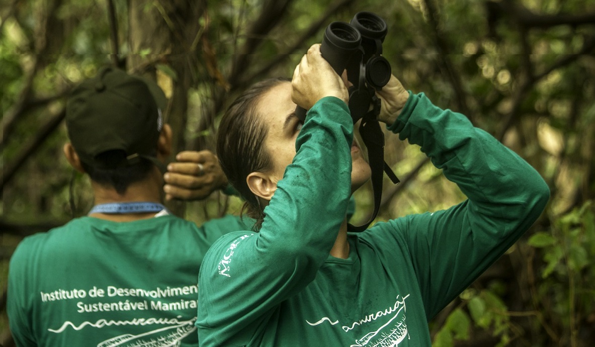 Instituto Mamirauá abre inscrições para nove bolsas de pesquisa na Amazônia