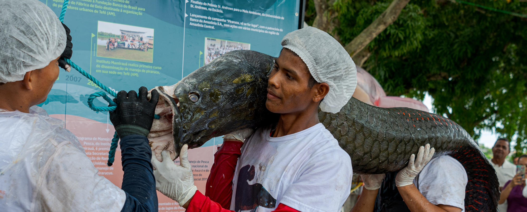 Tefé recebe neste final de semana a 21ª Feira do Pirarucu de Manejo Sustentável 