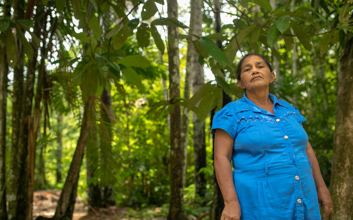 Pesquisa faz levantamento de plantas utilizadas por parteiras tradicionais da Amazônia