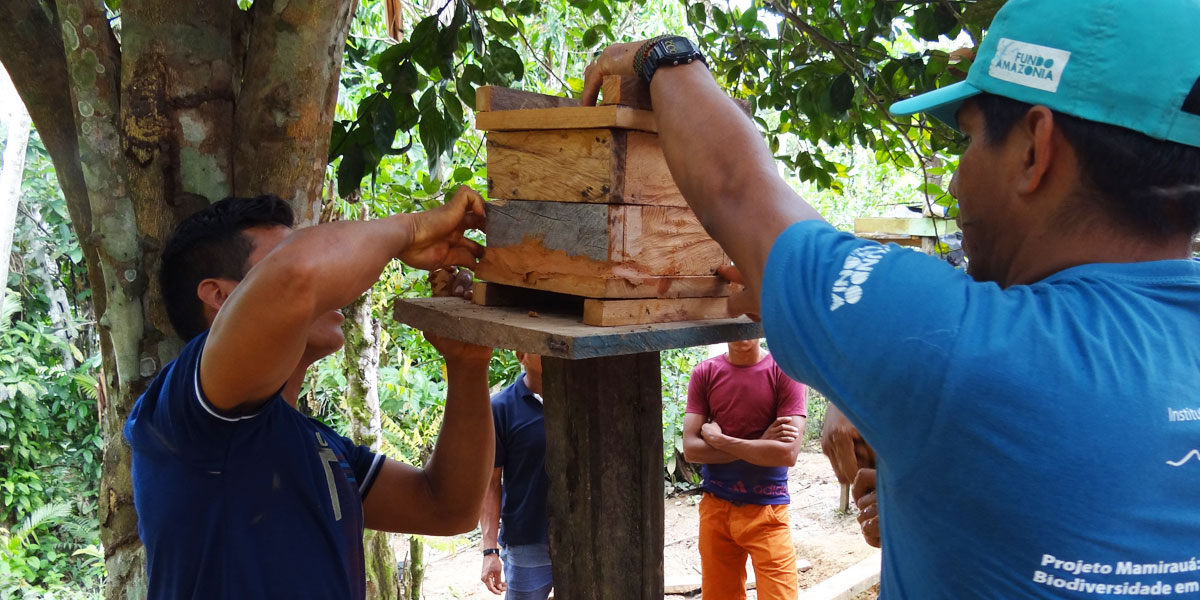 Comunitários participam de oficina de criação de abelhas nativas da Amazônia